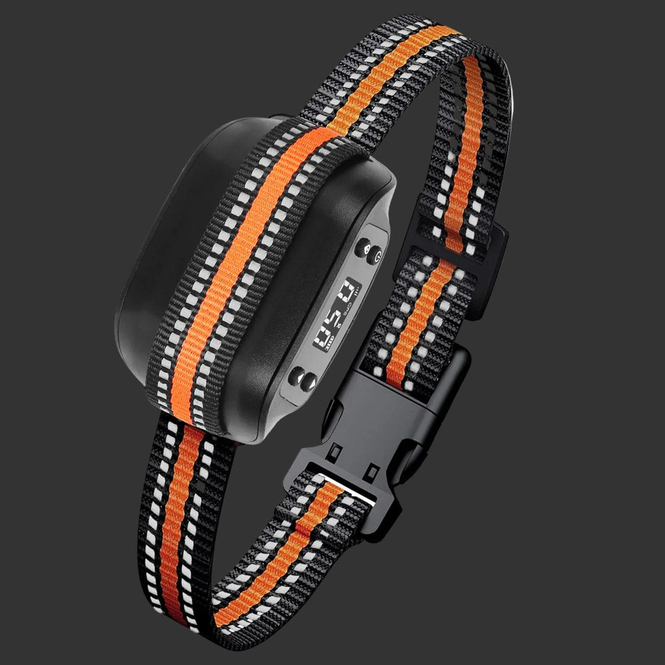 Pet collar with orange and black pattern on a white background