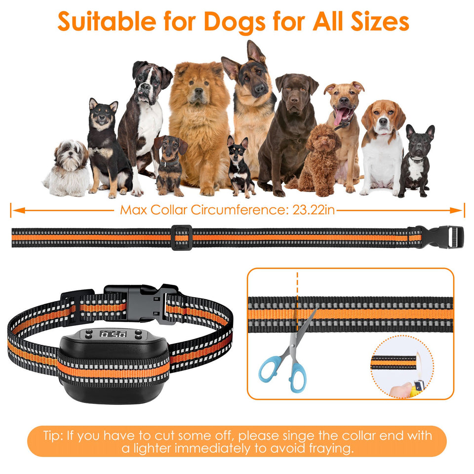 2-in-1 GPS Wireless Dog Fence Collar with Real-Time Tracking
