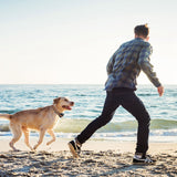 2-in-1 GPS Wireless Dog Fence Collar with Real-Time Tracking